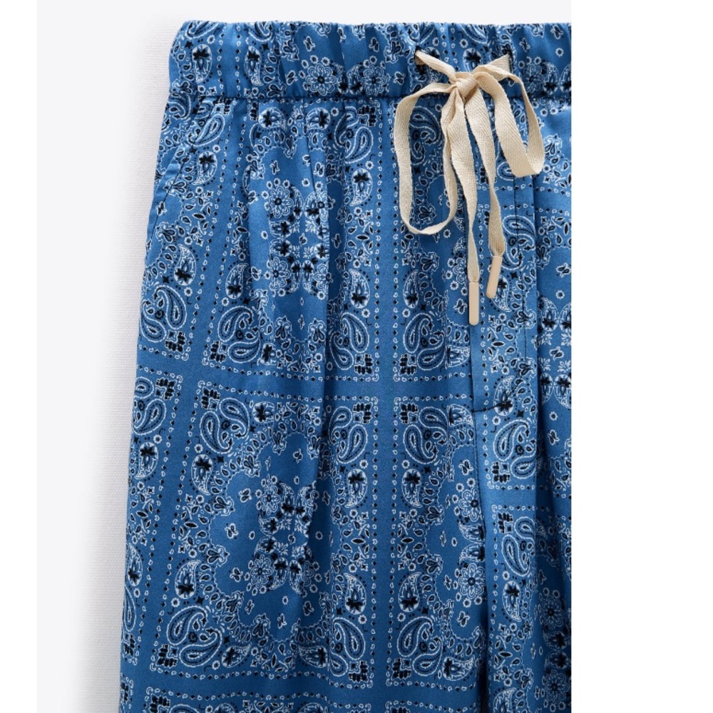 COPY - Zara Printed Wrap Blouse and Printed Pants. - Picture 7 of 10